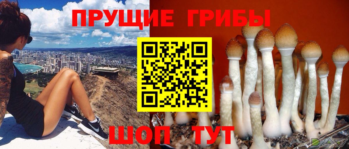 Псилоцибиновые грибы мицелий  Вход с VPN  Михайловка 